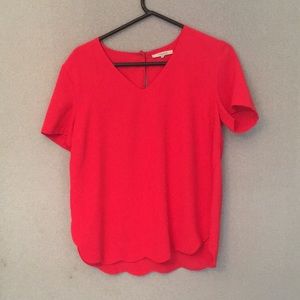 41 Hawthorn cherry red top